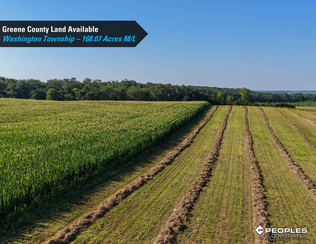 Listing Photo: Greene-County-Land-Available-168-Acres-19616 (7)